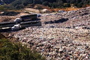 La basura recolectada en la CDMX se reutilizará para generar electricidad, mulch: Sobse