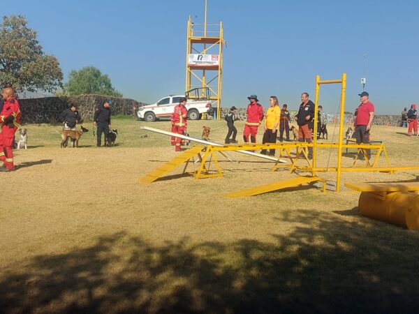 Binomios caninos de Texcoco se capacitan y refuerzan tácticas en operaciones de búsqueda y rescate