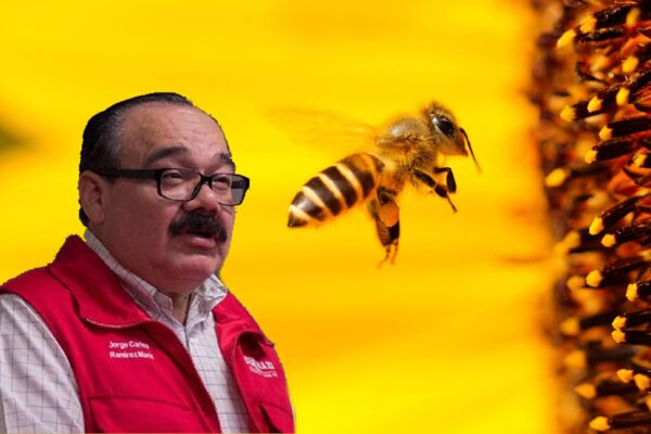 Senador yucateco defiende a las abejas