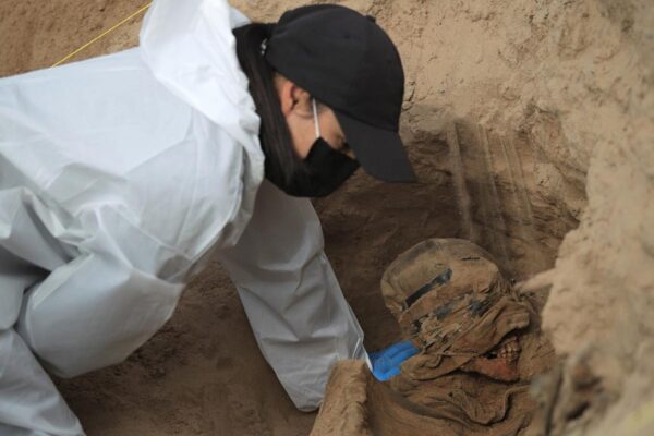 Tamaulipas, el gran cementerio clandestino; hallan 22 cuerpos en 12 fosas