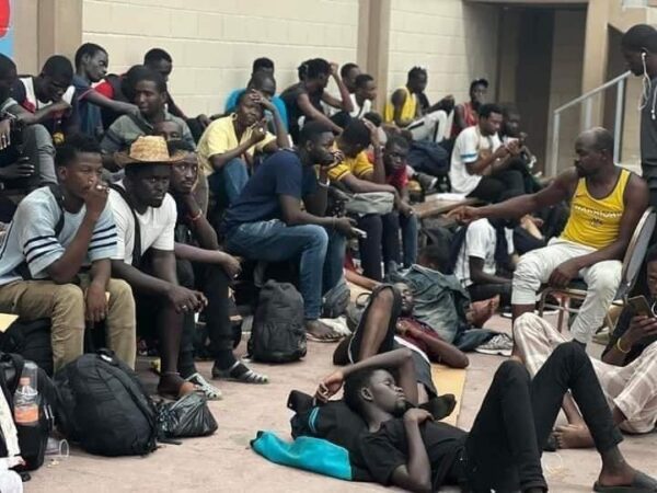 Aseguran en Sonora a 212 migrantes africanos que aguardaban para cruzar a EU