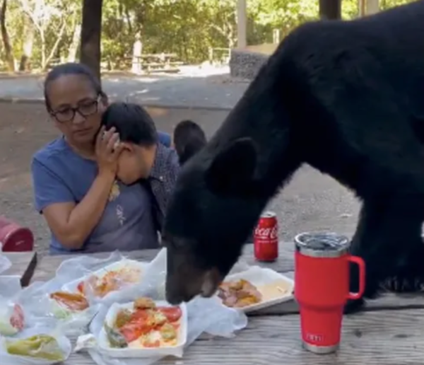 “¡Alguien se está comiendo mi sopa!»