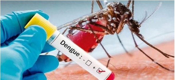 Lista vacuna japonesa ante propagación del dengue en AL