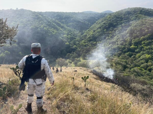 Avioneta ambulancia se despista en Morelos y cae a un barranco: Cuatro muertos