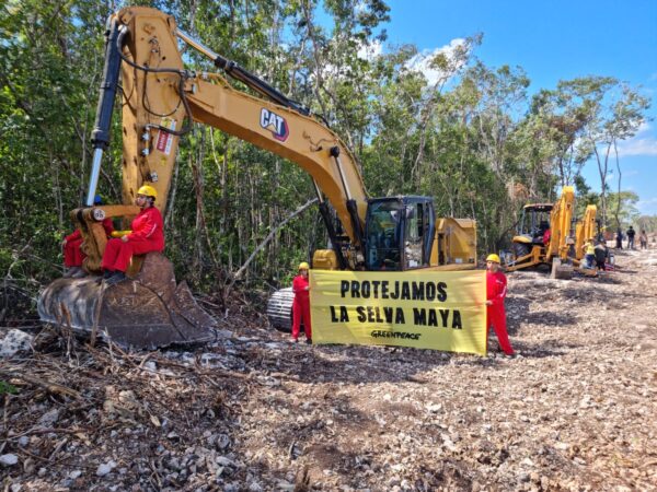 Desplazados de comunidades, los costos por la obra del Tren Maya