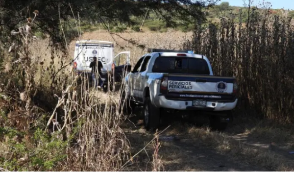 Hallan 11 cuerpos en una decena de fosas clandestinas en Michoacán