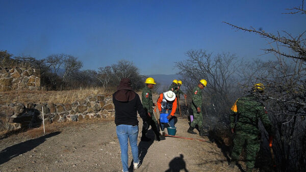 En plena crisis hídrica, incendio forestal afecta 30 hectáreas de zona arqueológica de Monte Albán