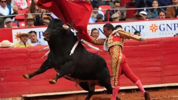 ¡Que siempre sí! Tribunal autoriza corridas de toros en la Plaza México