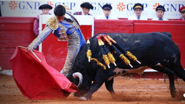 ¡Las corridas de toros en la Plaza México, van! jueza niega amparo a colectivo para suspenderlas