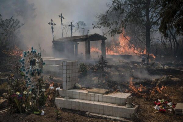 México enfrenta el peor año de incendios forestales con 95 en activo