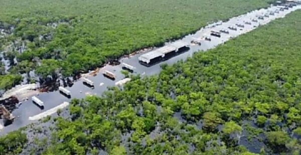 Sedena ignoró advertencias de inundaciones; 1.5 kilómetros de vía del Tren Maya están bajo el agua