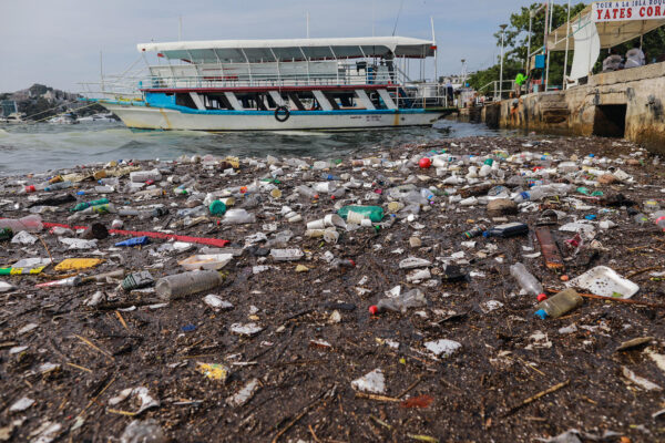 Por altos niveles de contaminación 18 playas no son aptas para actividades recreativas; Cofepris